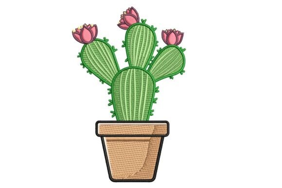 Potted Prickly Pear Cactus: A Desert Delight