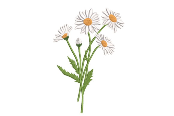 Wild Daisy Stems – Simple Floral Review