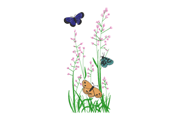 Wildflower Meadow Butterflies: A Seasonal Delight